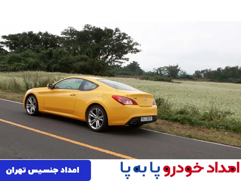 امداد جنسیس تهران 
